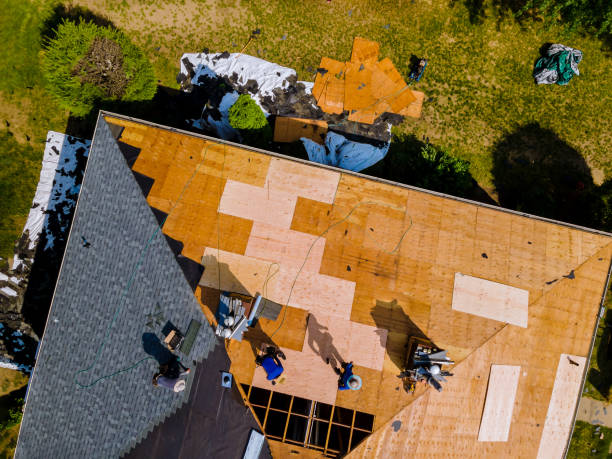 Best Roof Gutter Cleaning  in Neodesha, KS